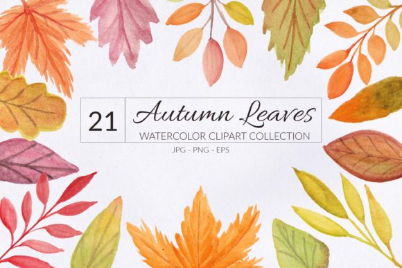 21 Autumn Leaf Watercolor Element for Editorial and Web Design