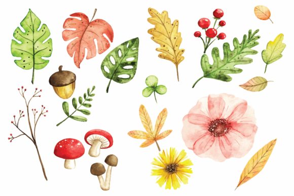 Floral Design Elements in Watercolor: A Designer’s Perspective