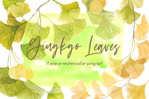 Gingkgo Fall Leaves Watercolor Set: A Brand Designer’s Perspective on Seasonal Illustrations