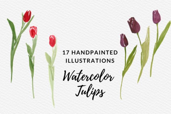 Hand Painted Watercolor Tulip Flowers: A Versatile Illustration for Creative Branding