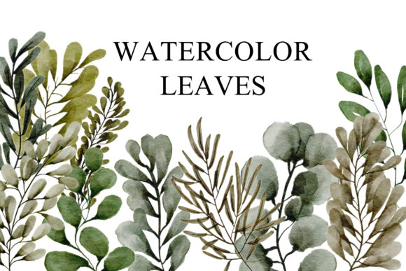 Leaves Watercolor Collection for Brand Illustrations