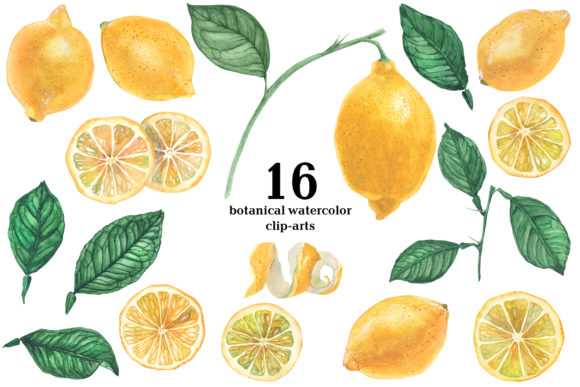 Lemon Garden Botanical Watercolor for Digital Illustrations