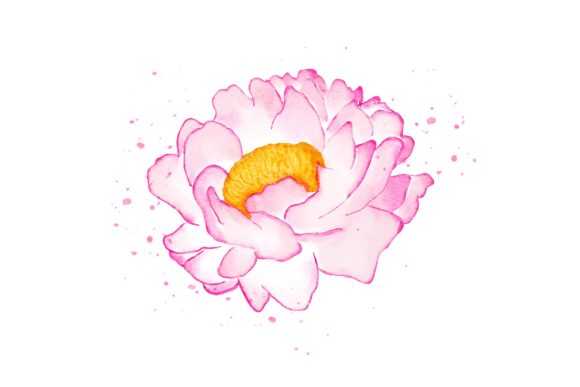 Peonies Flower Watercolor Realistic PNG for Local Business Branding