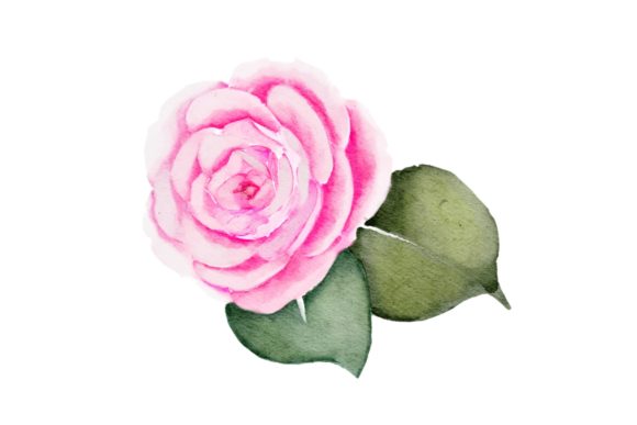 Pink Flower Watercolor Realistic PNG Review for Embroidery Projects