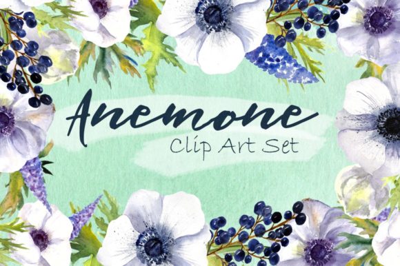 Watercolor Anemone Flowers Clipart: A Designer’s Honest Take