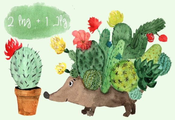 Watercolor Cactus Hedgehog Illustrations for Real Crafting Projects