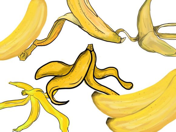 Watercolor Classic Collection of Banana for Editorial and Web Design