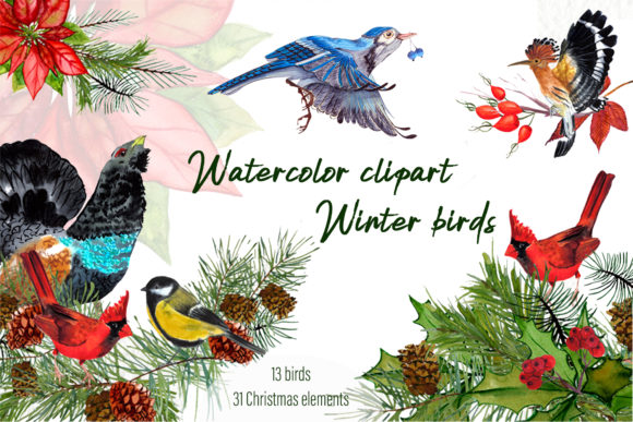 Watercolor Clipart Winter Birds: A Versatile Illustration for Seasonal Branding