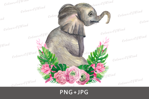 Watercolor Elephant T-shirt Transfer for Editorial and Web Design