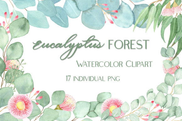 Watercolor Eucalyptus Foliage Clipart for Embroidery Projects