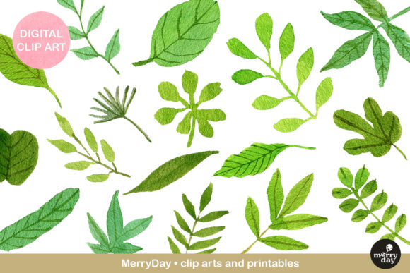 Watercolor Green Leaves Clip Art: A Versatile Illustration for Creative Branding