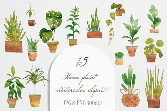 Watercolor Home Plant Clipart Set: A Designer’s Take on a Versatile Illustration Asset