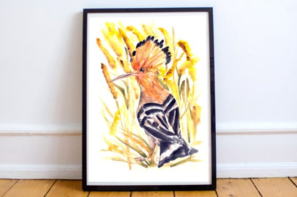 Watercolor Hoopoe Print: A Versatile Illustration for Content Creators