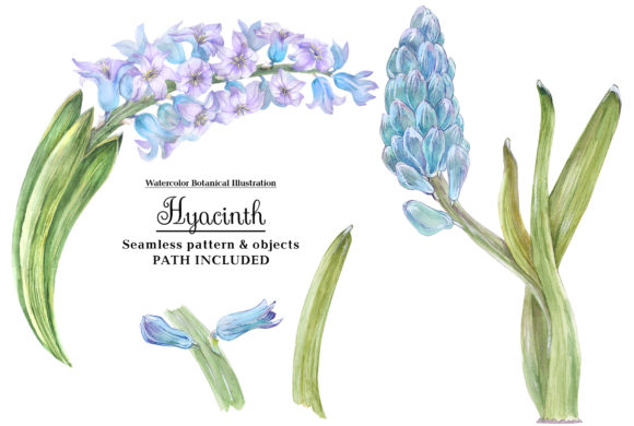 Watercolor Hyacinth: A Versatile Illustration for Creative Branding