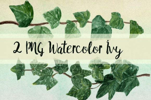 Watercolor Ivy Clip Art - 2 PNG for Marketing and Branding
