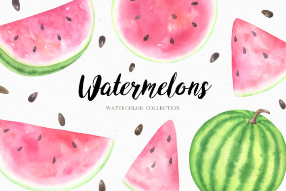 Watercolor Watermelon Collection: A Fresh Illustration for Creative Projects